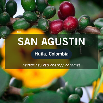 San Agustin Single Origin